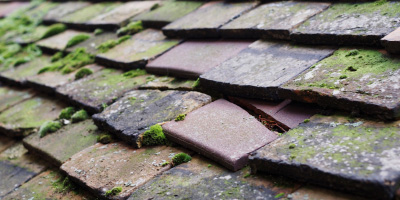 Marshfield roof repair costs